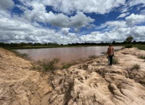 Rice planting and pond in Khon Kaen1