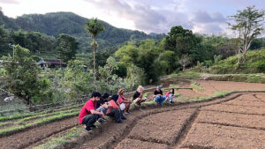 manoa_csea_field_program_1