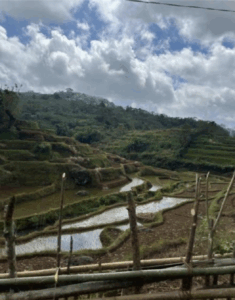 terraced rice fields in Kacang