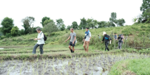 FireShot Capture 086 - CSEAS Web Building Collaborative Knowledge in Northern Thailand - G_ - [docs.google.com]